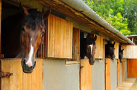 free Staplefield stable construction quotes
